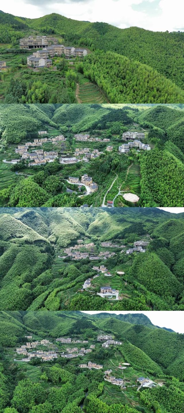 信宜馬安竹海沉浸式旅記
