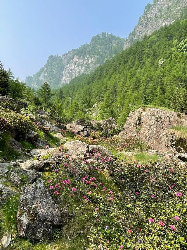 《六月十二日，喺馬塞洛山谷嘅岩壁上同時間共舞：一場阿爾卑