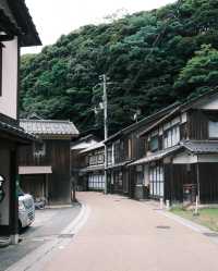 大阪/京都出發，伊根舟屋＆天橋立一日遊