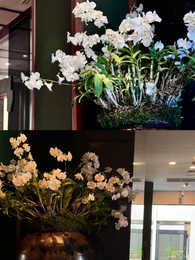 曼谷素可泰酒店|The Sukhothai Bangkok