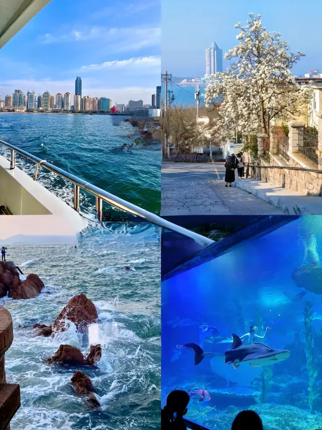 Walking through the long glass tunnel feels like truly being immersed in an underwater world