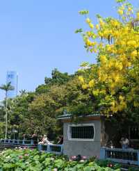 中山公園賞花奇遇！錦江之星品尚酒店畀你超暖心體驗！