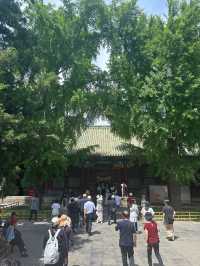 恭王府的夏日美學