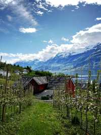 Hardangerfjord - Roadtrip 