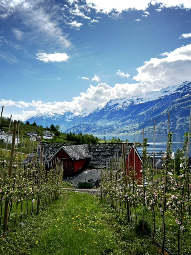 Hardangerfjord - Roadtrip 