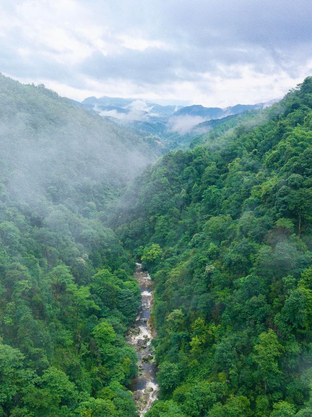 比起人潮洶湧嘅南昌，我更愛呢座藏喺江西嘅小眾山水之城——吉