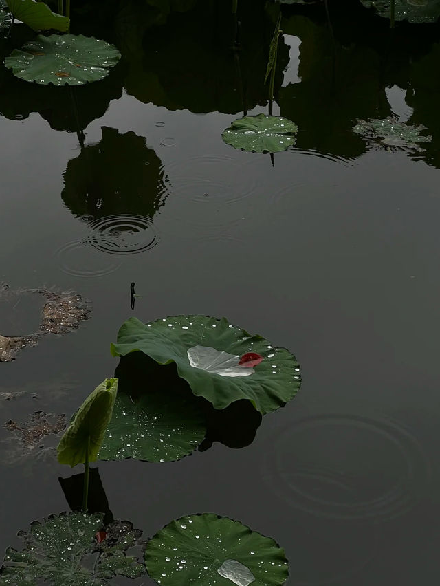 晴翠湖不如雨翠湖