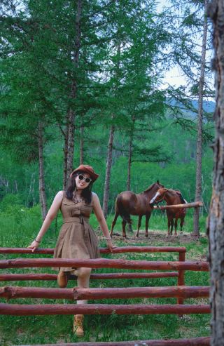 A hidden grassland secret in Hebei! Immerse yourself in the colorful forest!