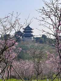 南寧避暑指南｜高溫天，咁樣玩超「涼」