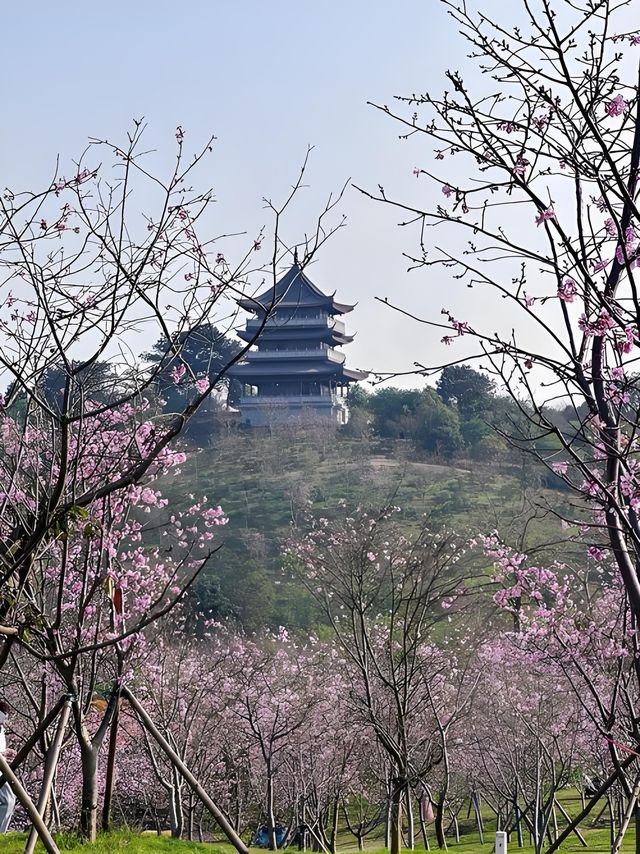 南寧避暑指南｜高溫天，咁樣玩超「涼」