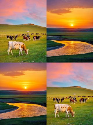 After 3 days in Hulunbuir, my spending habits were completely shattered