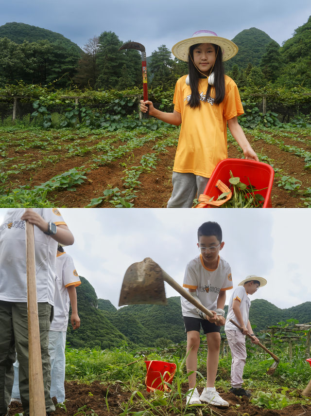 啱啱返嚟！真係唔捨得走！真實鄉村日記