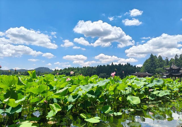 登上西湖雷峰塔，感受千年白蛇傳說的魅力！