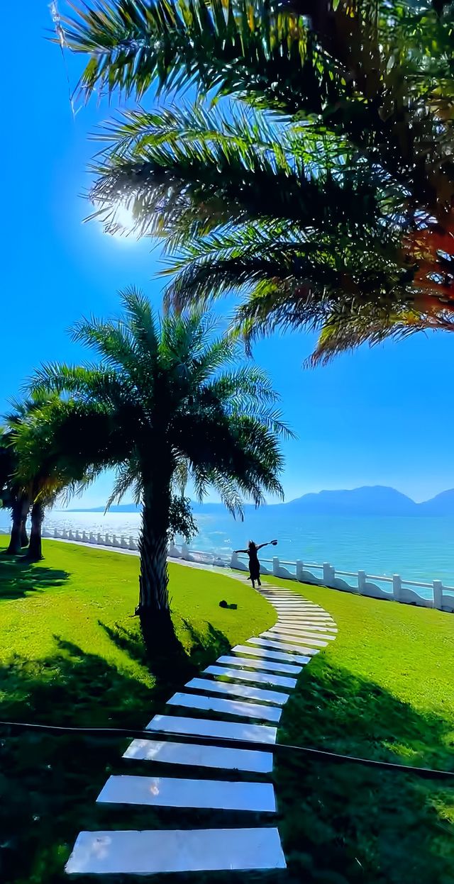 滇池畔嘅美景