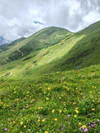 巴郎山：雲端的羌藏走廊