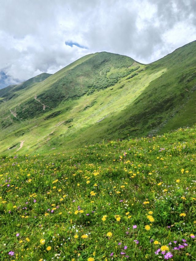 巴郎山：雲端的羌藏走廊