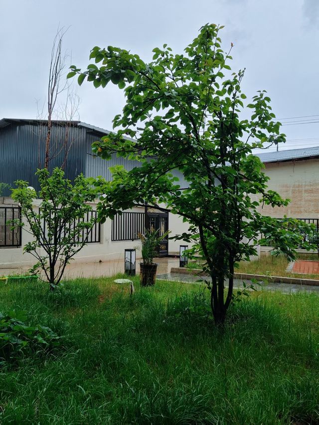 去香格里拉正猶豫住邊度好？等我推薦俾你——香格里拉西廊塘民宿
