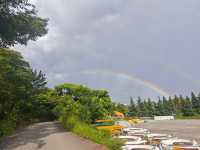 【貴州安順植物園向日葵花海深度遊】21℃清涼避暑