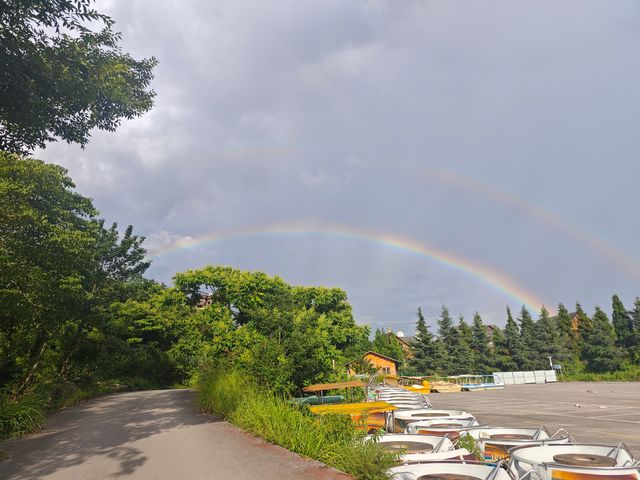 【貴州安順植物園向日葵花海深度遊】21℃清涼避暑