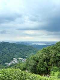杭州九溪徒步｜喺小溪同茶園治癒系吸氧