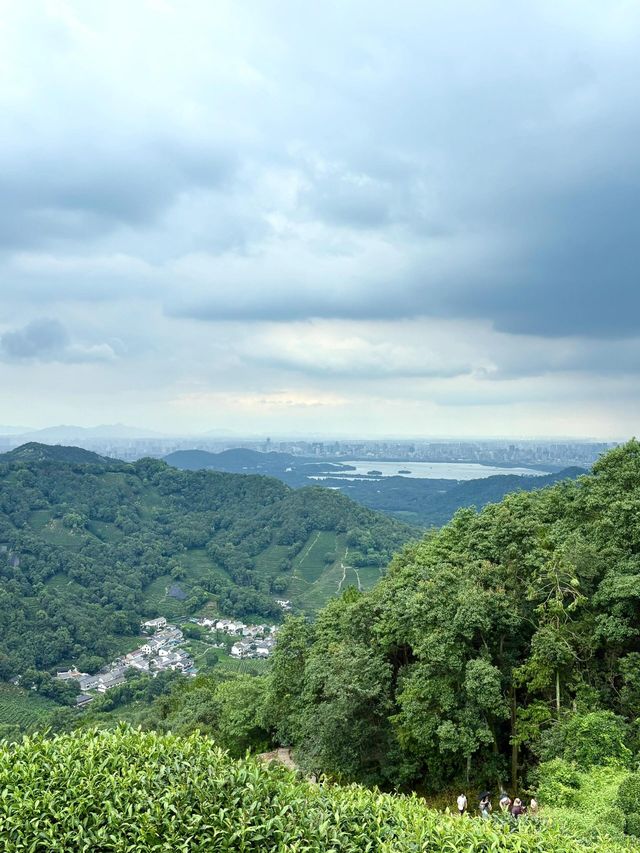 杭州九溪徒步｜喺小溪同茶園治癒系吸氧
