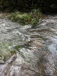 杭州九溪徒步｜喺小溪同茶園治癒系吸氧