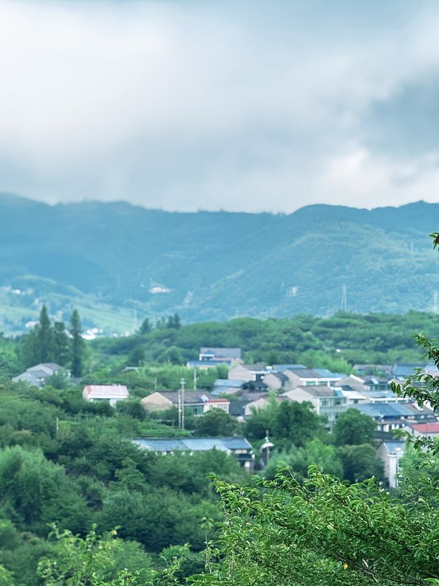 踏入鹿亭中村，恍如走進一幅徐徐展開嘅山水長卷。