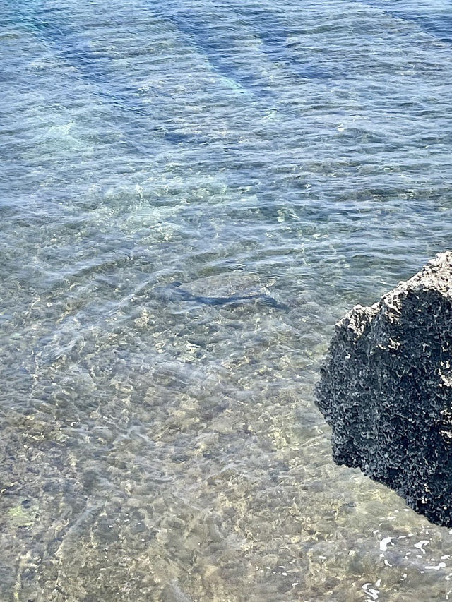 海龜之鄉，花瓶岩的第一道晨光