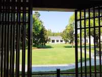 虹迎大草坪