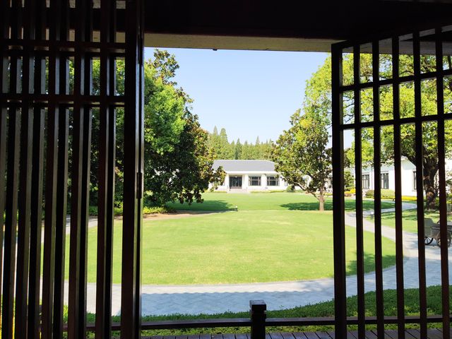 虹迎大草坪