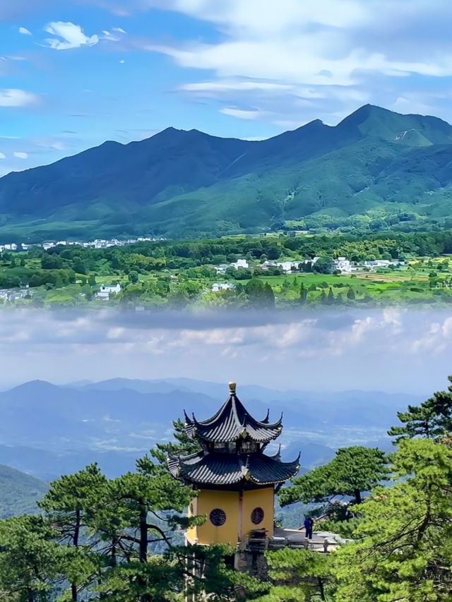 自貢已回，真的不建議跟團。