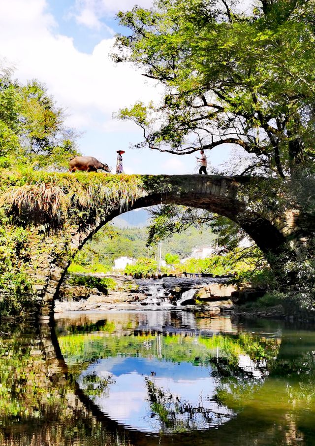 那山那水那古村 那山那水那古村