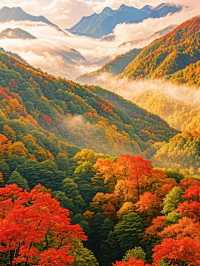 光霧山紅葉期告急