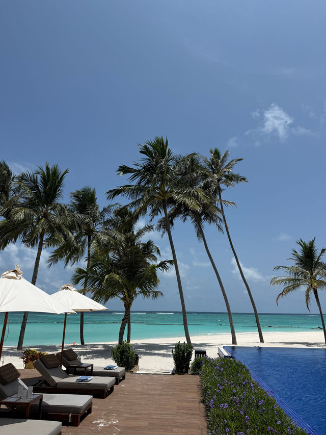Unforgettable Honeymoon Experience at the Resort