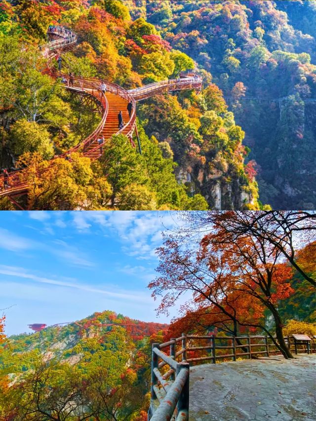 1.5h溜出西安直達少華山看漫山紅遍