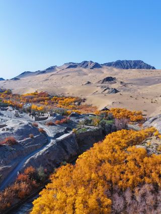 Northwest Secret Realm | Aksai Duobagou Populus Euphratica Canyon Guide