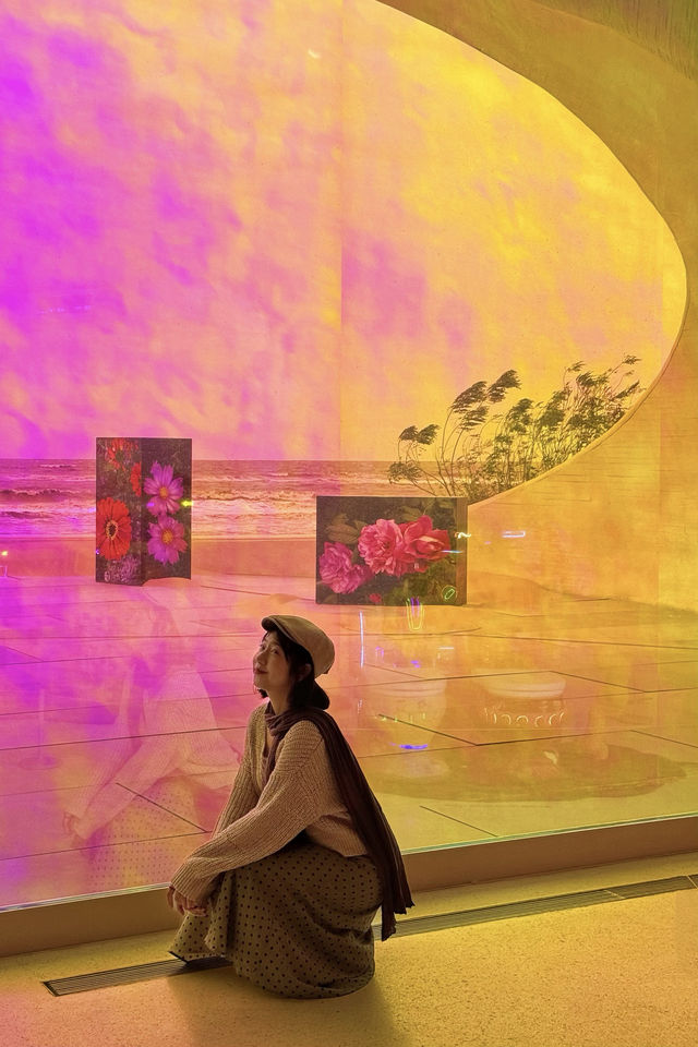 阿那亞|被沙丘美術館治癒的一天