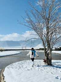 私藏雪景拍照聖地香格里拉民宿