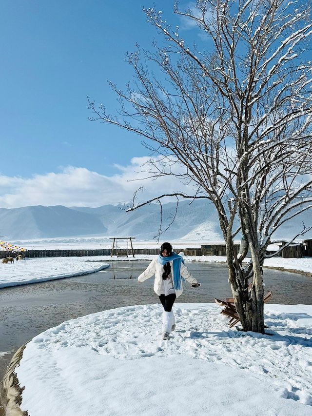 私藏雪景拍照聖地香格里拉民宿