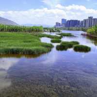西寧市旅遊攻略