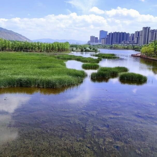 西寧市旅遊攻略