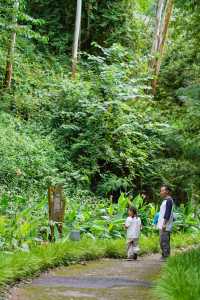 樂山必打卡綠心公園