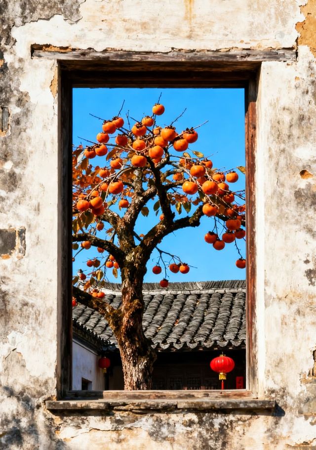 從青果到紅柿：一棵柿樹，把“事事如意”結滿了枝頭