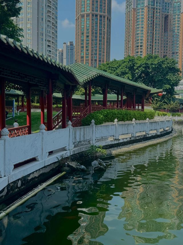 深圳人必衝！99%不知道的寶藏錦鯉園林