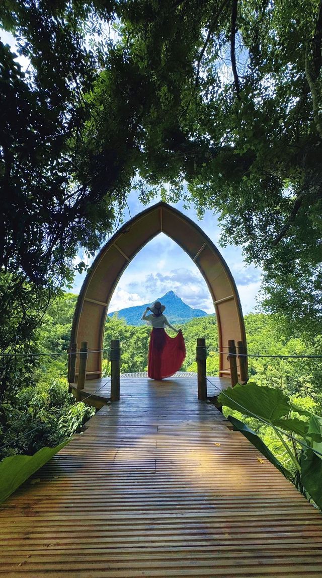 在五指山方諾寨的隱秘時光