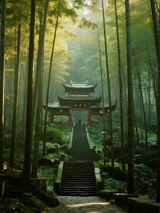 蜀南竹海一日遊攻略不費腿的精華路線