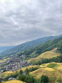 桂林｜龍脊梯田闖入上帝調色盤！11月限定金黃稻浪攻略