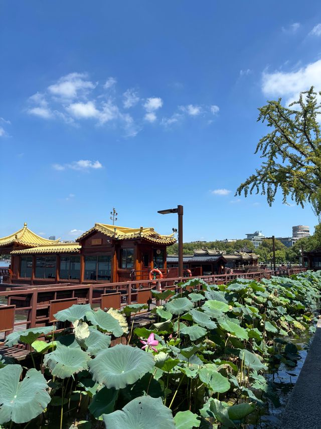 夏日西湖遊｜杭州最美打卡路線全攻略