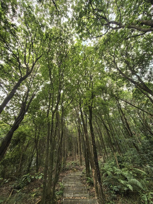 登高眺望漳州長泰巖溪全景 登高眺望漳州長泰巖溪全景