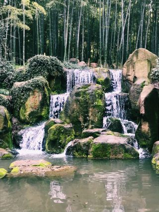 상하이의 비밀 대나무 숲 탈출